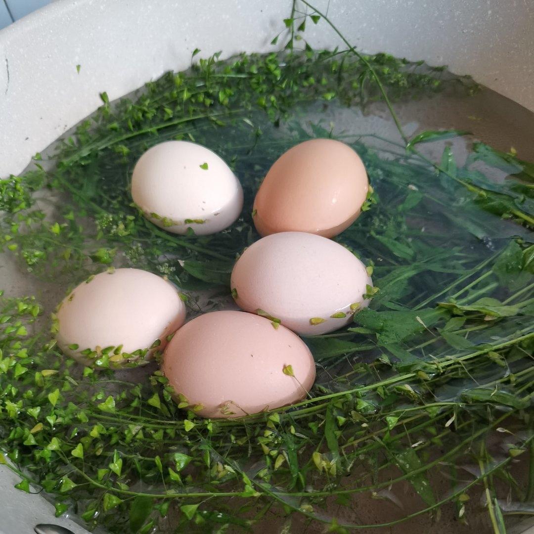 荠菜煮鸡蛋