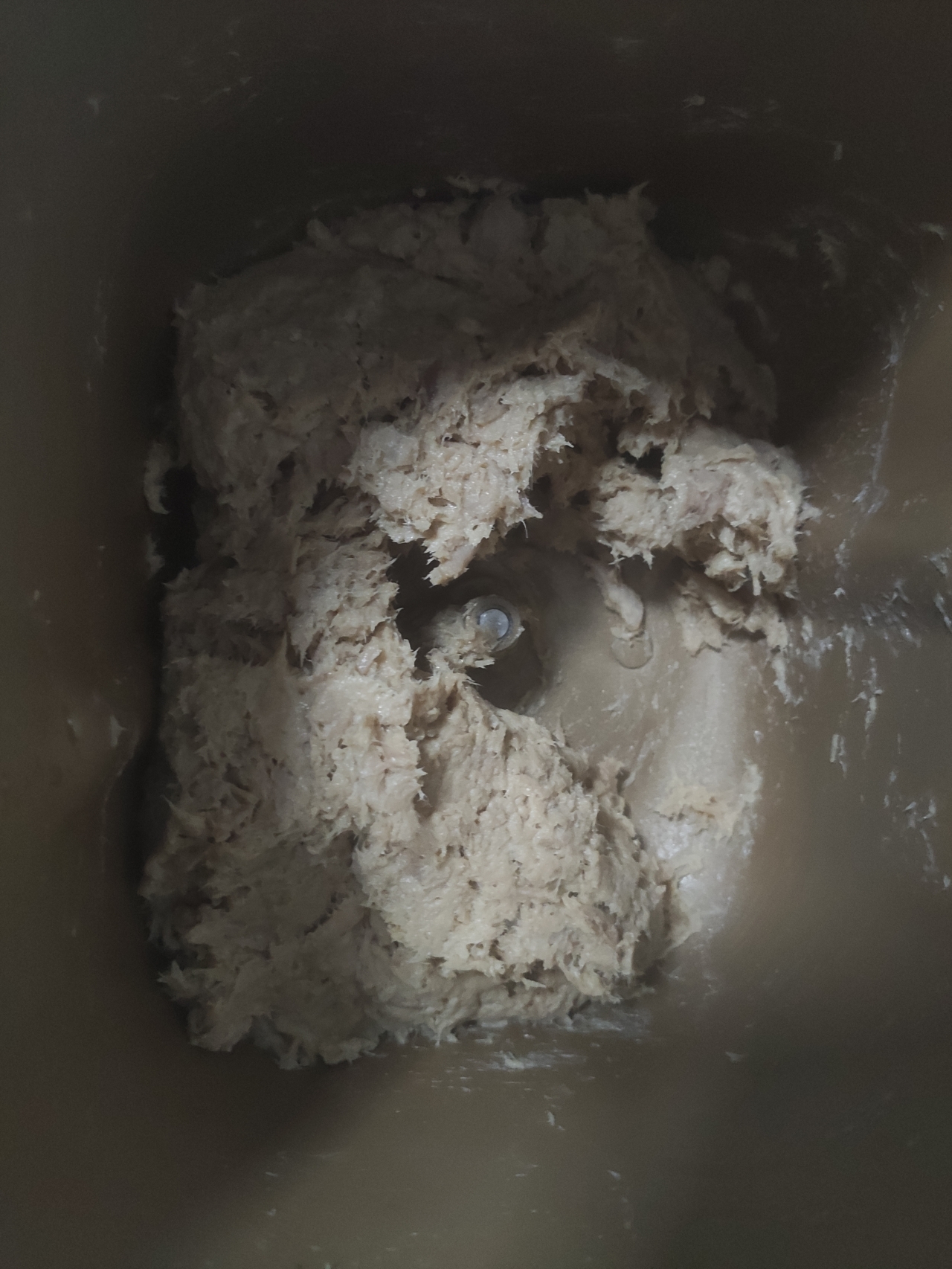 面包机油酥肉松(低碳生酮版)的做法 步骤4