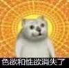 企鹅什么鬼