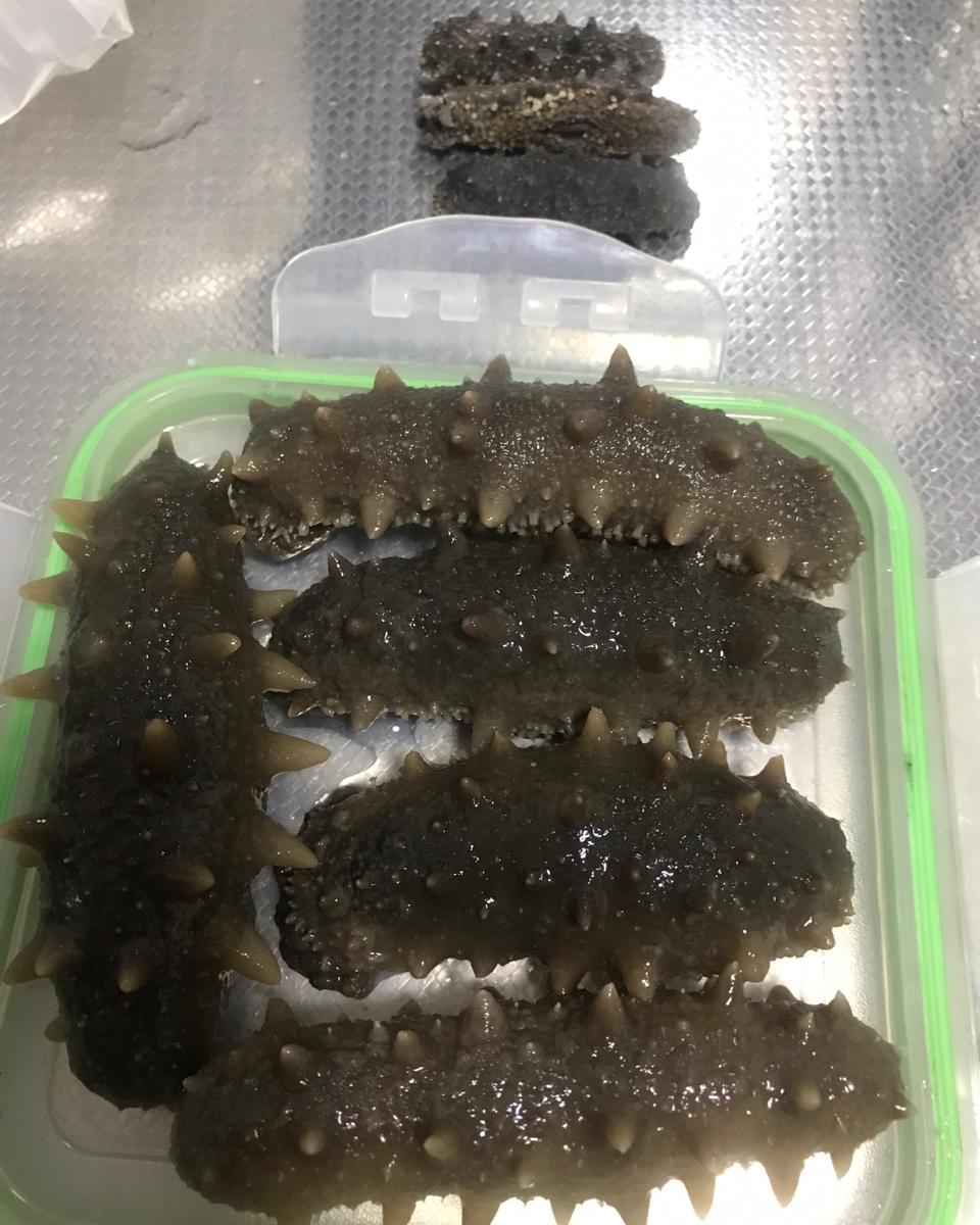 泡发海参的方法