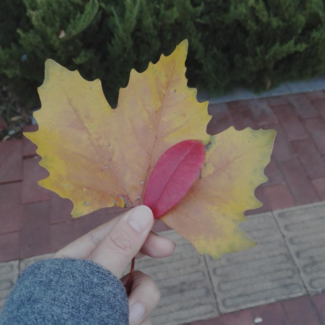 下厨房用户_j1kr