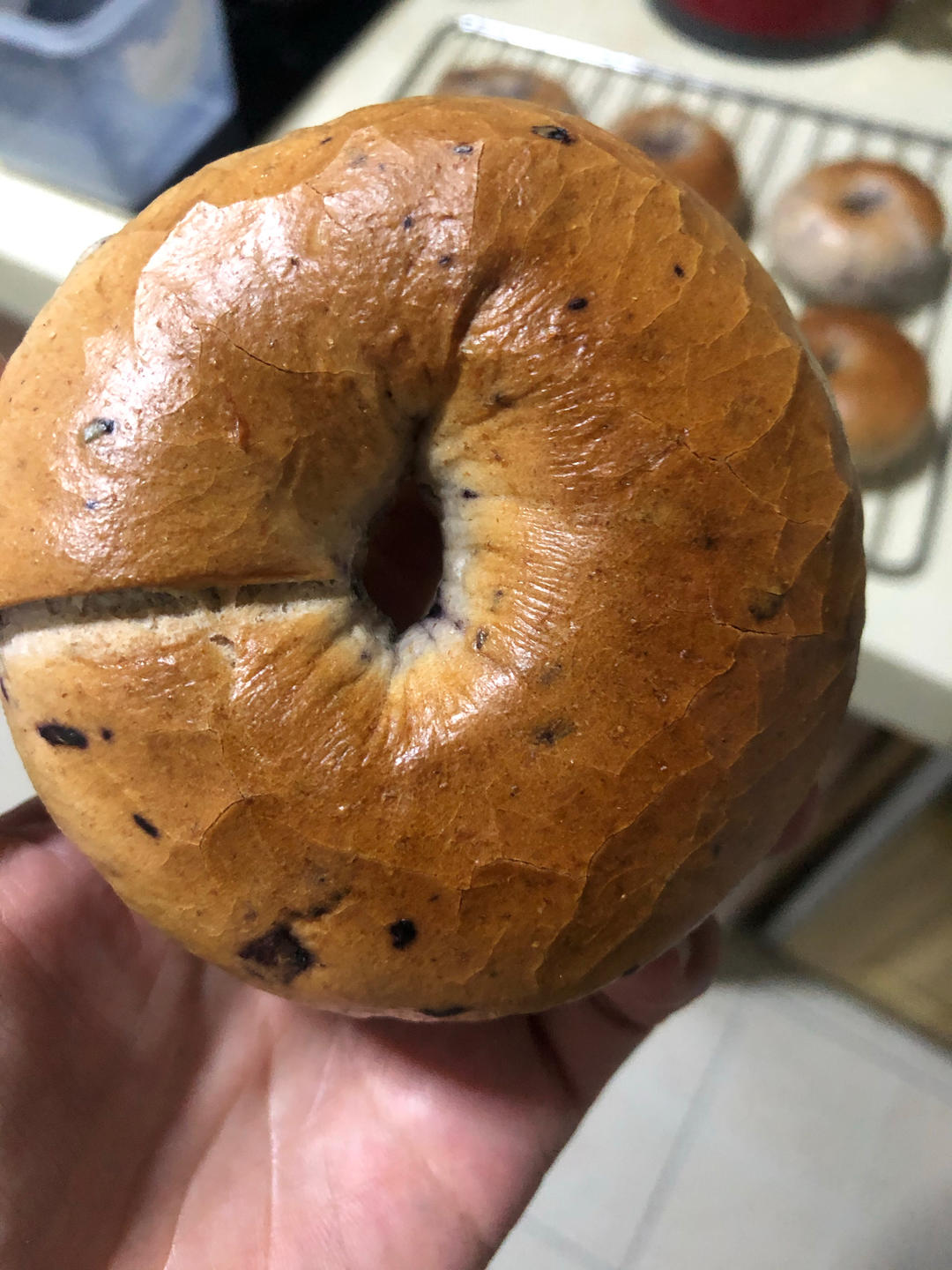 全麥藍莓貝果（無油糖）