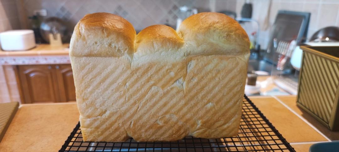 比棉花还柔软的中种北海道吐司