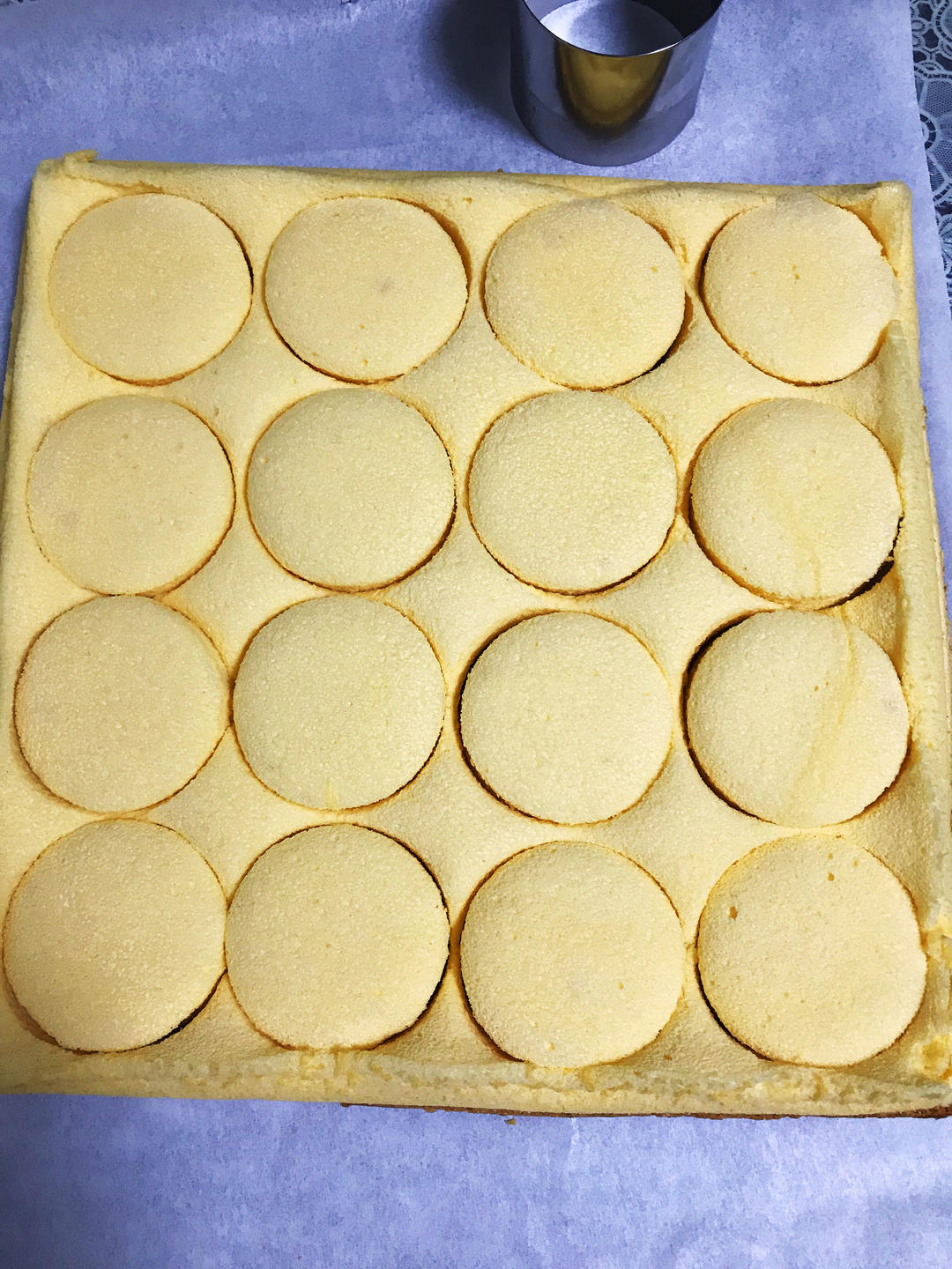 原味蛋糕卷