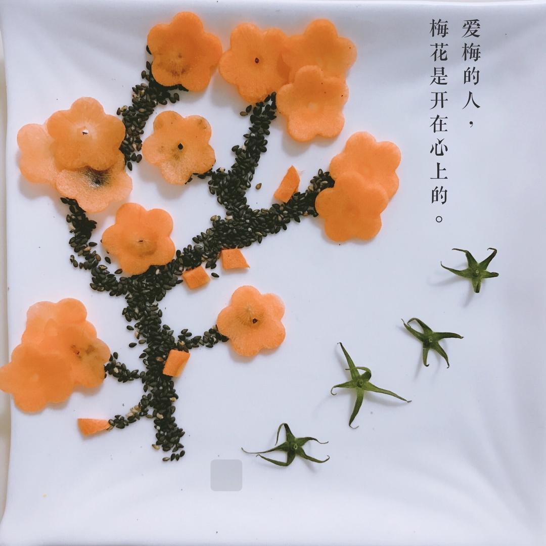 胡萝卜梅花(创意盘画の二)