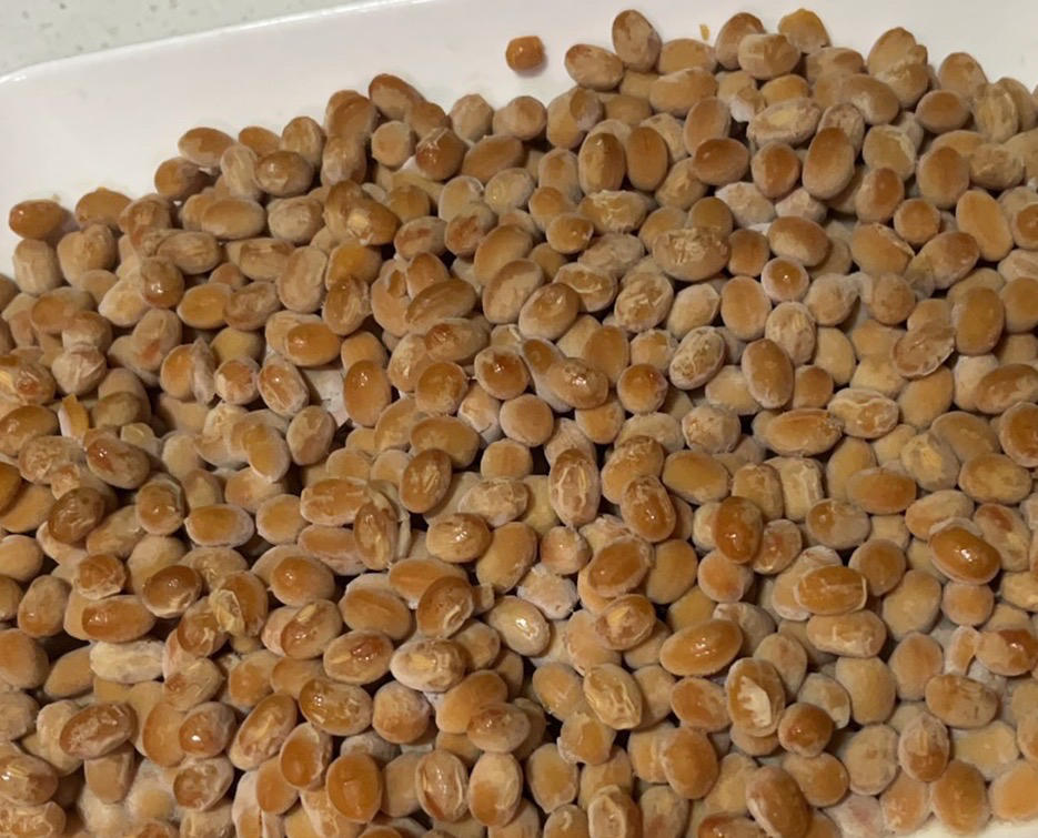 自制纳豆（酸奶机，面包机，烤箱版）
