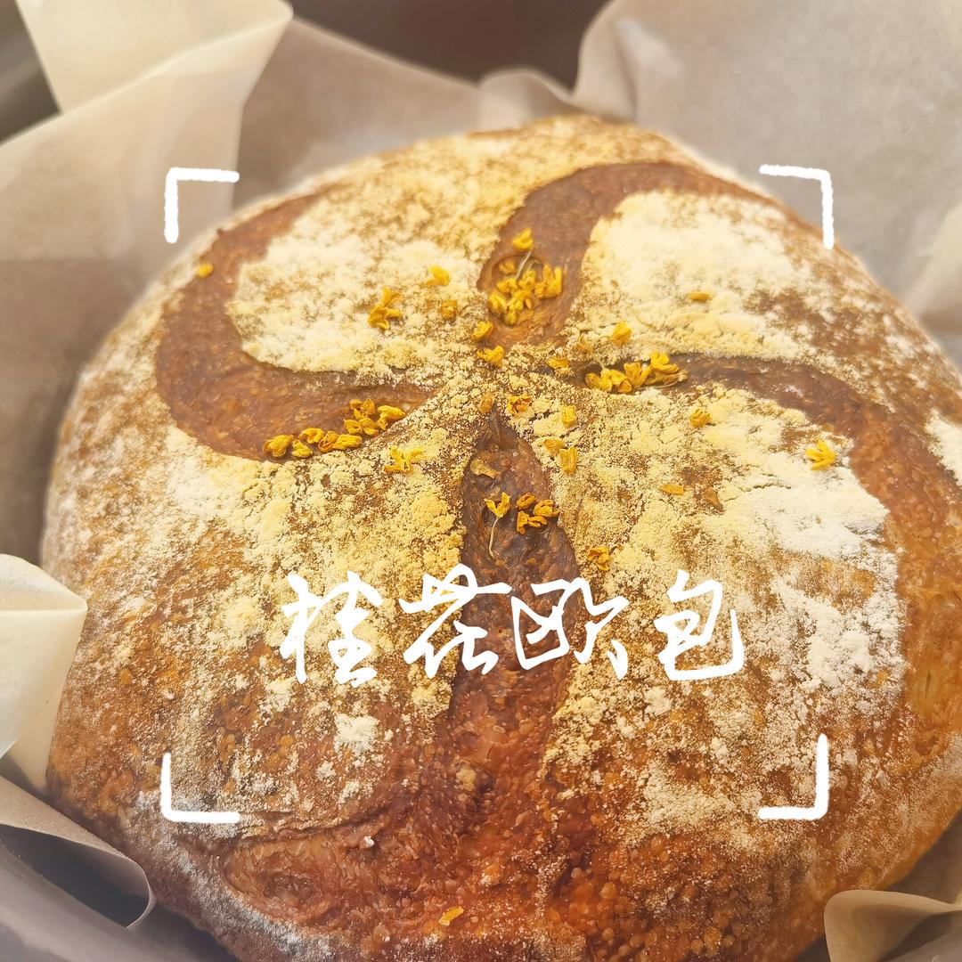果然很简单！免揉欧包