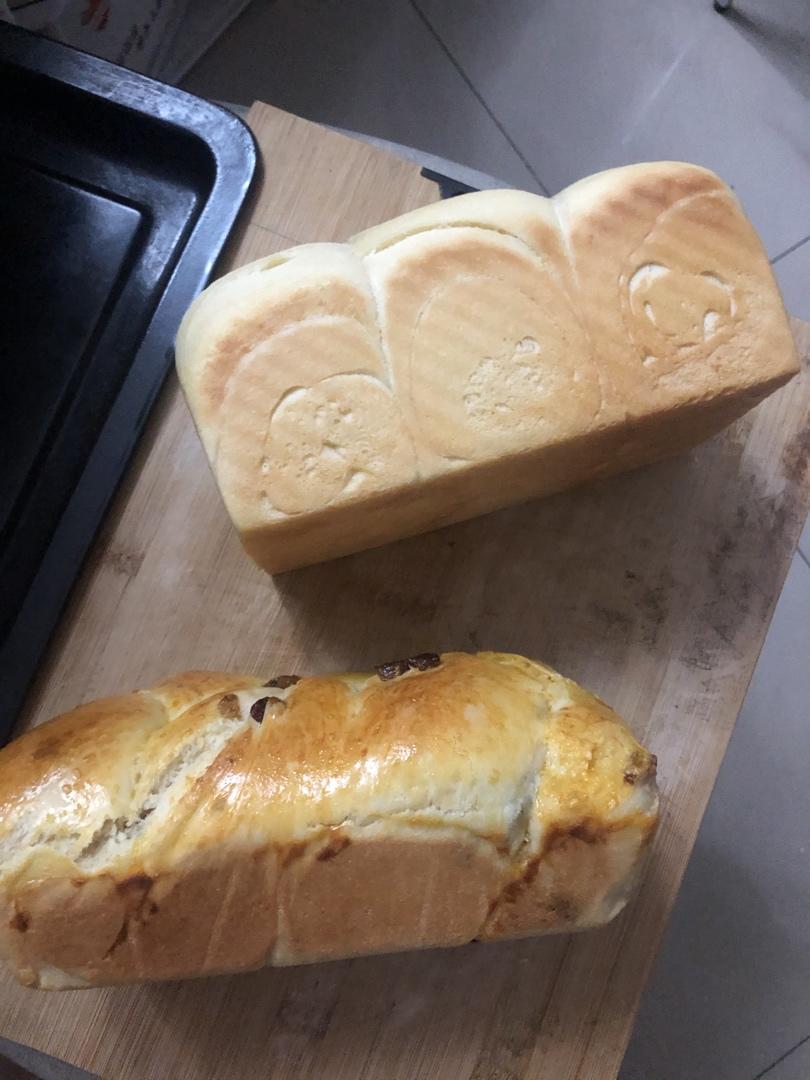 不用熬夜做面包了～成功率高、香软拉丝的北海道吐司（省时的中种法）