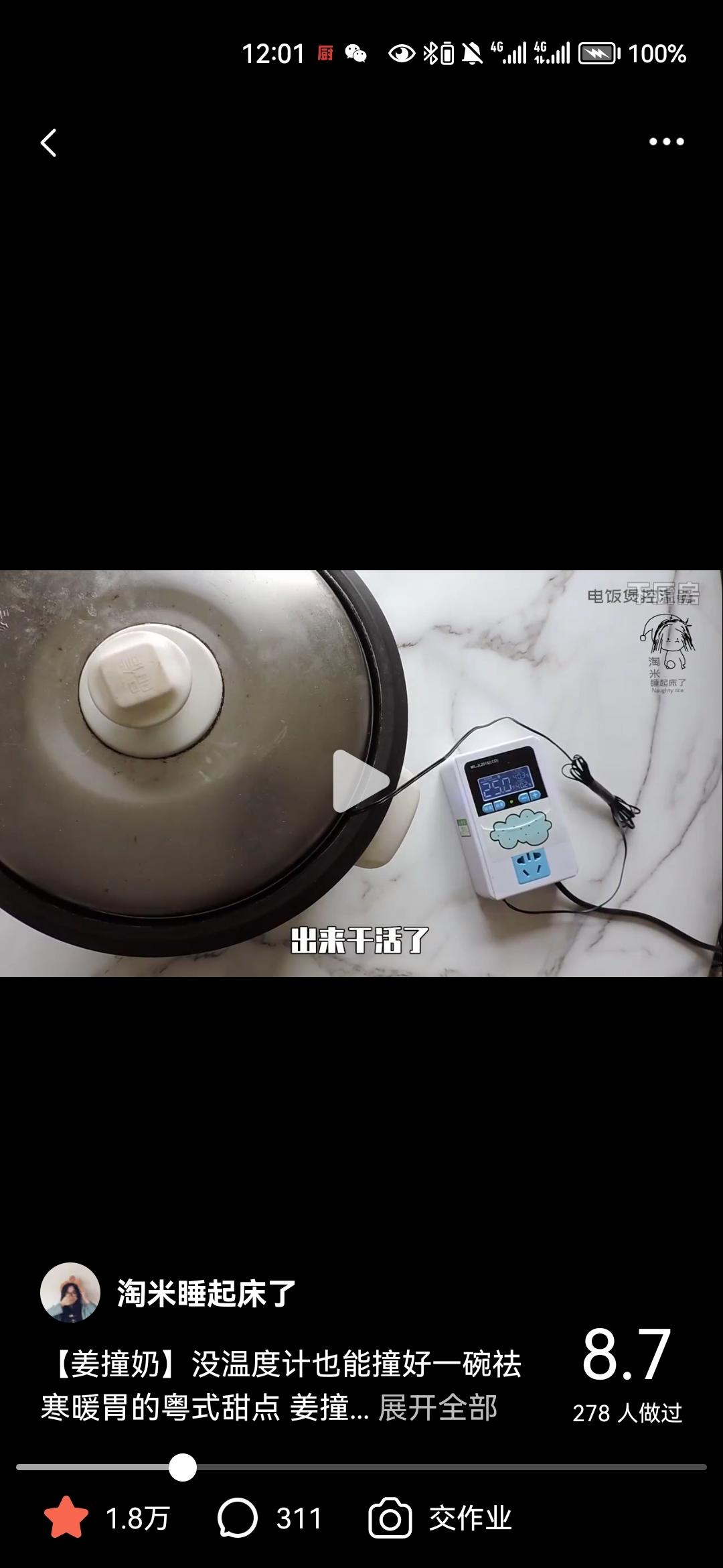 【电饭煲孵小鸡】