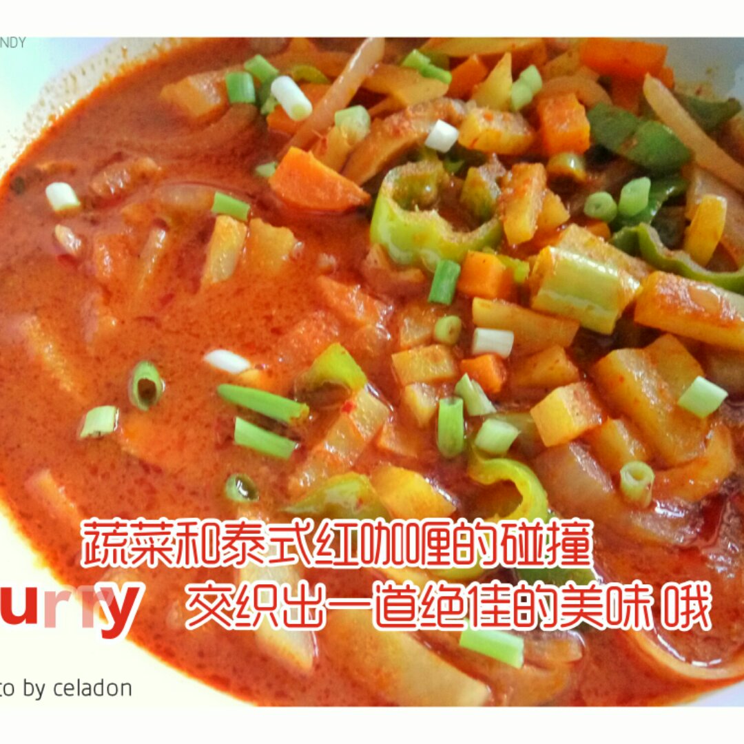红咖喱鸡肉炖杂蔬