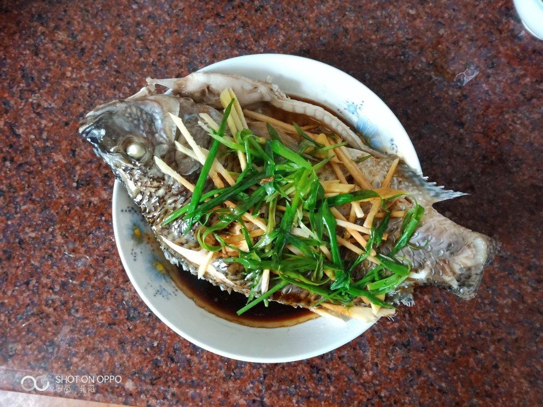 清蒸非洲鲫鱼