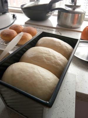 焦糖奶油面包的做法 步骤7