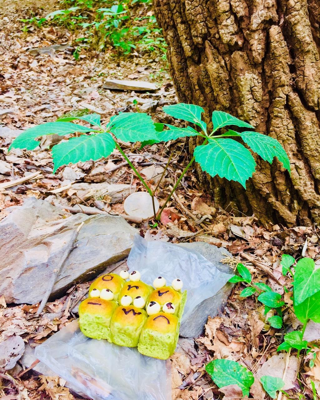 青蛙挤挤小面包