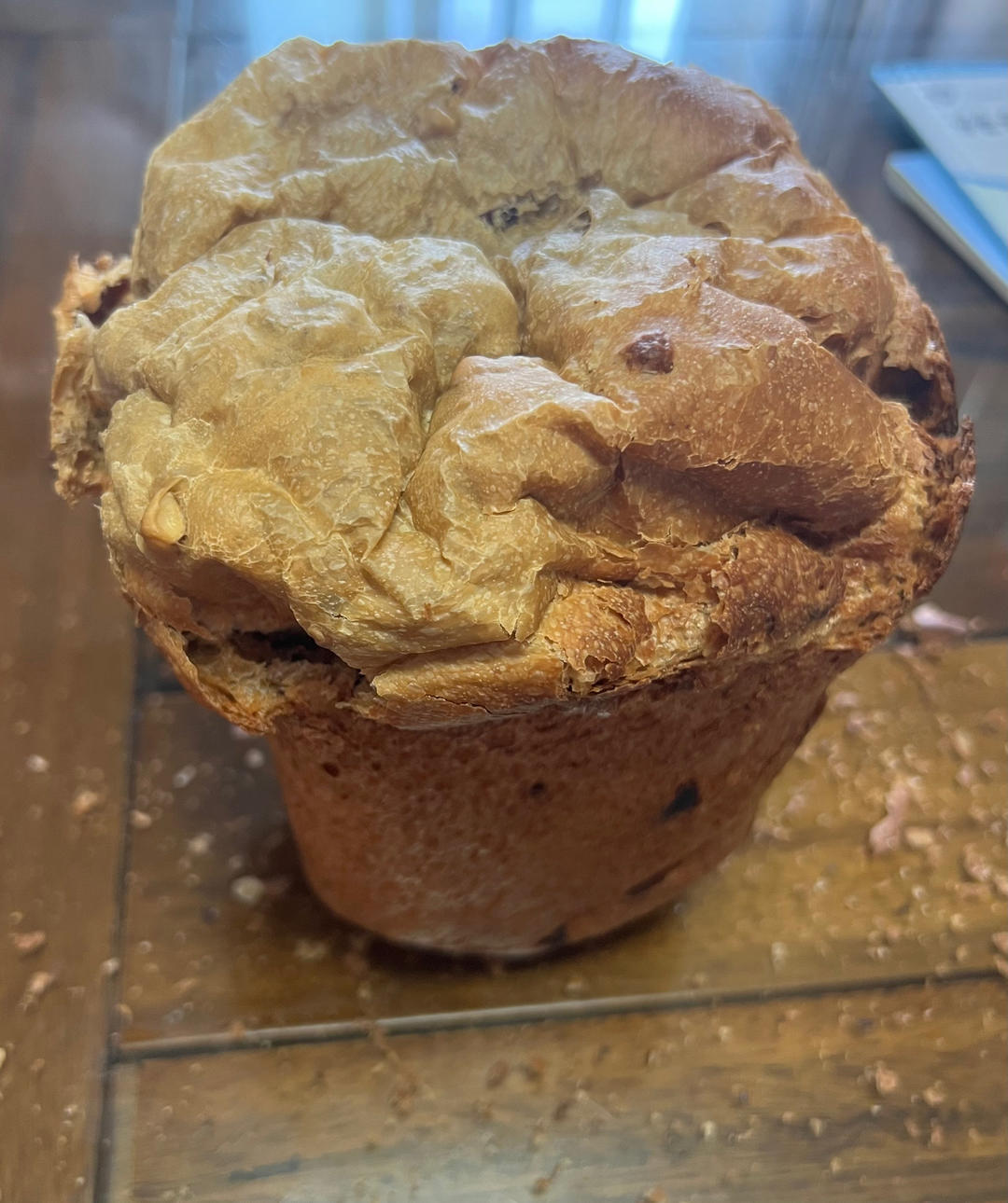 红枣核桃料多多，一炉8条小吐司记录