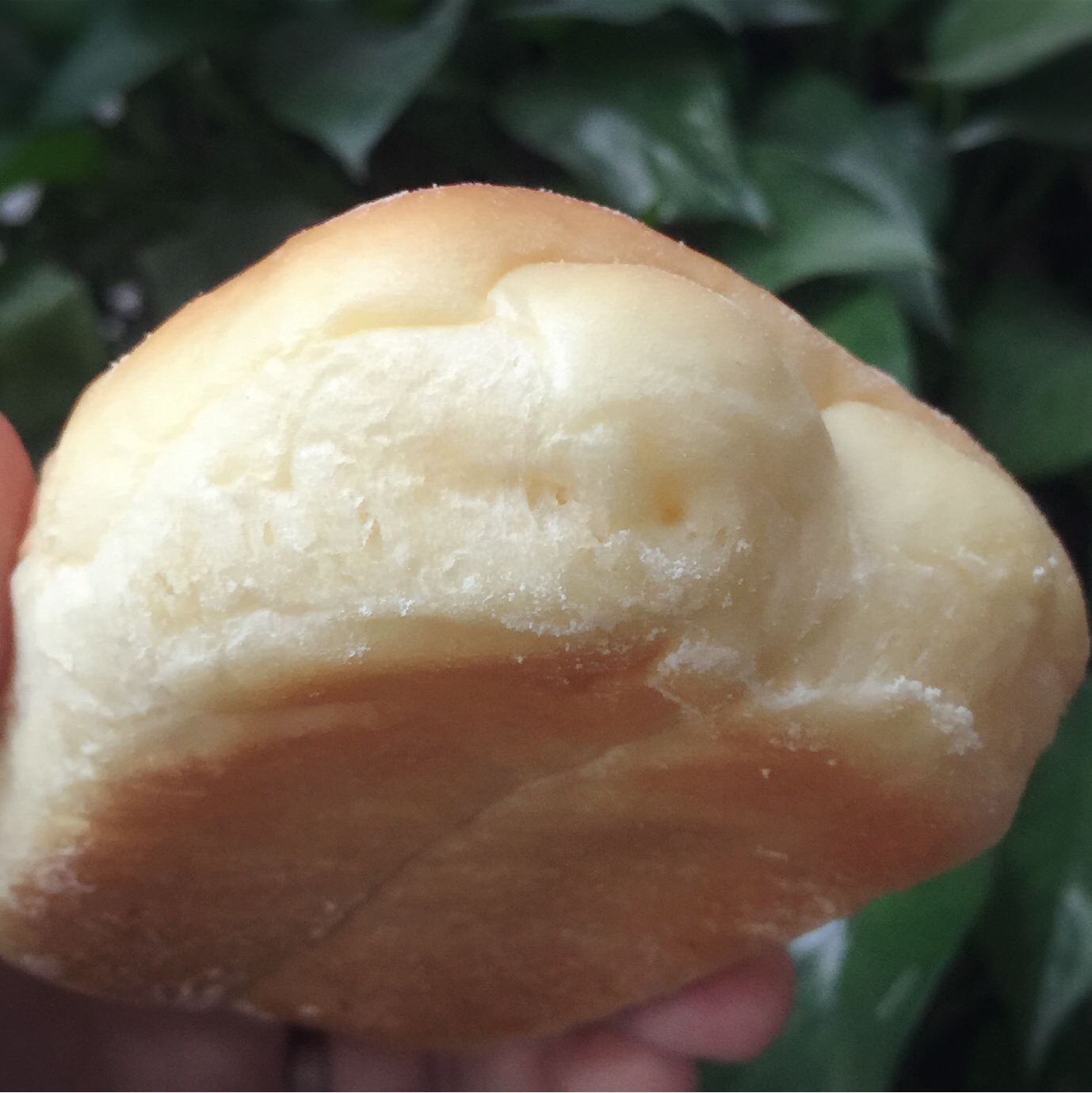 日式牛奶卷