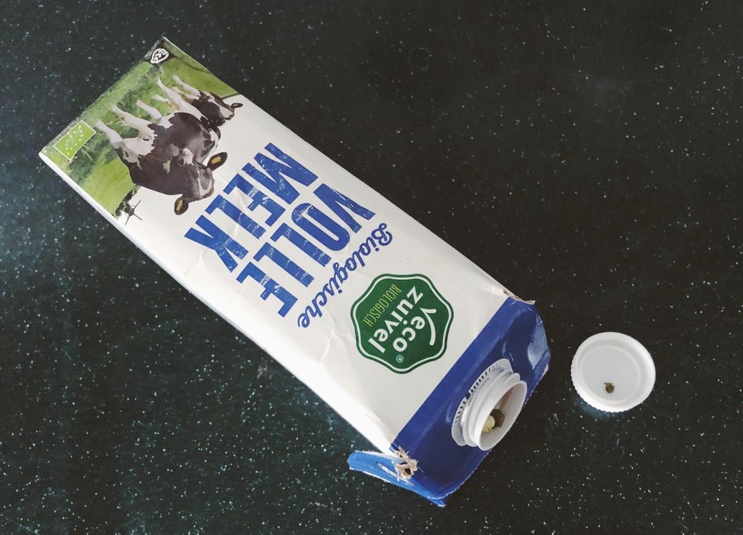 酥软软做的自己发豆芽【果汁盒/大牛奶盒】