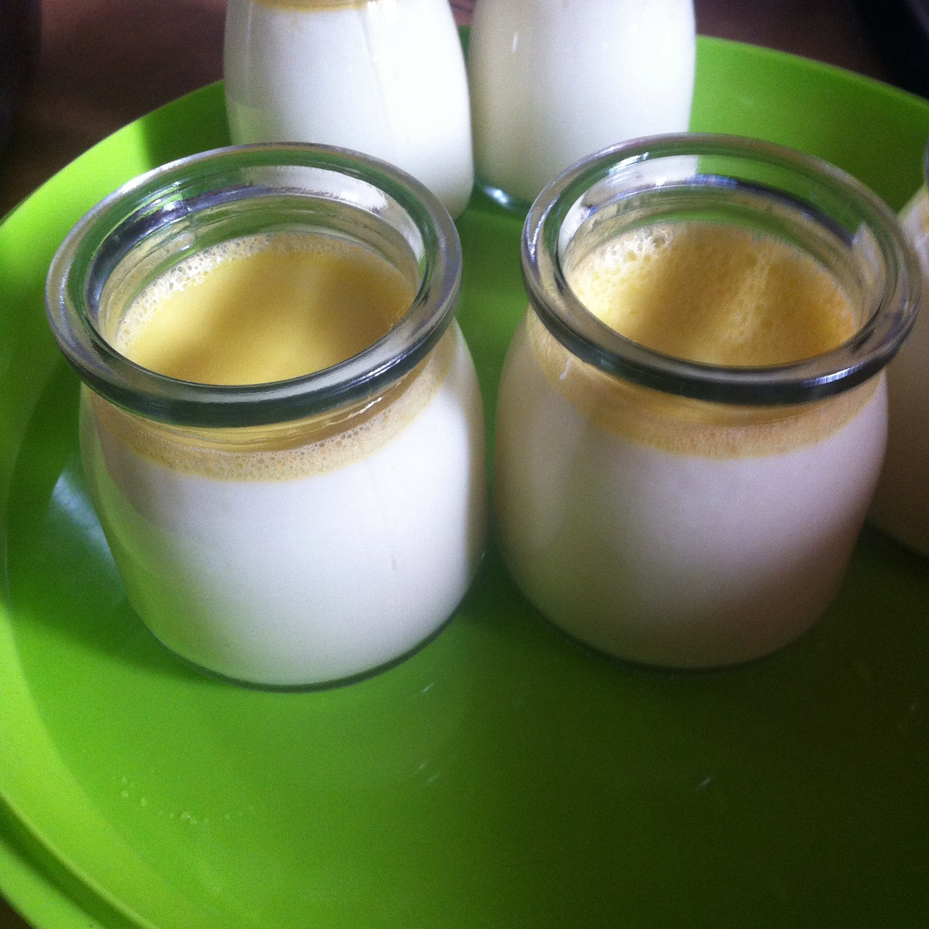 超简单蛋奶布丁（烤箱版）