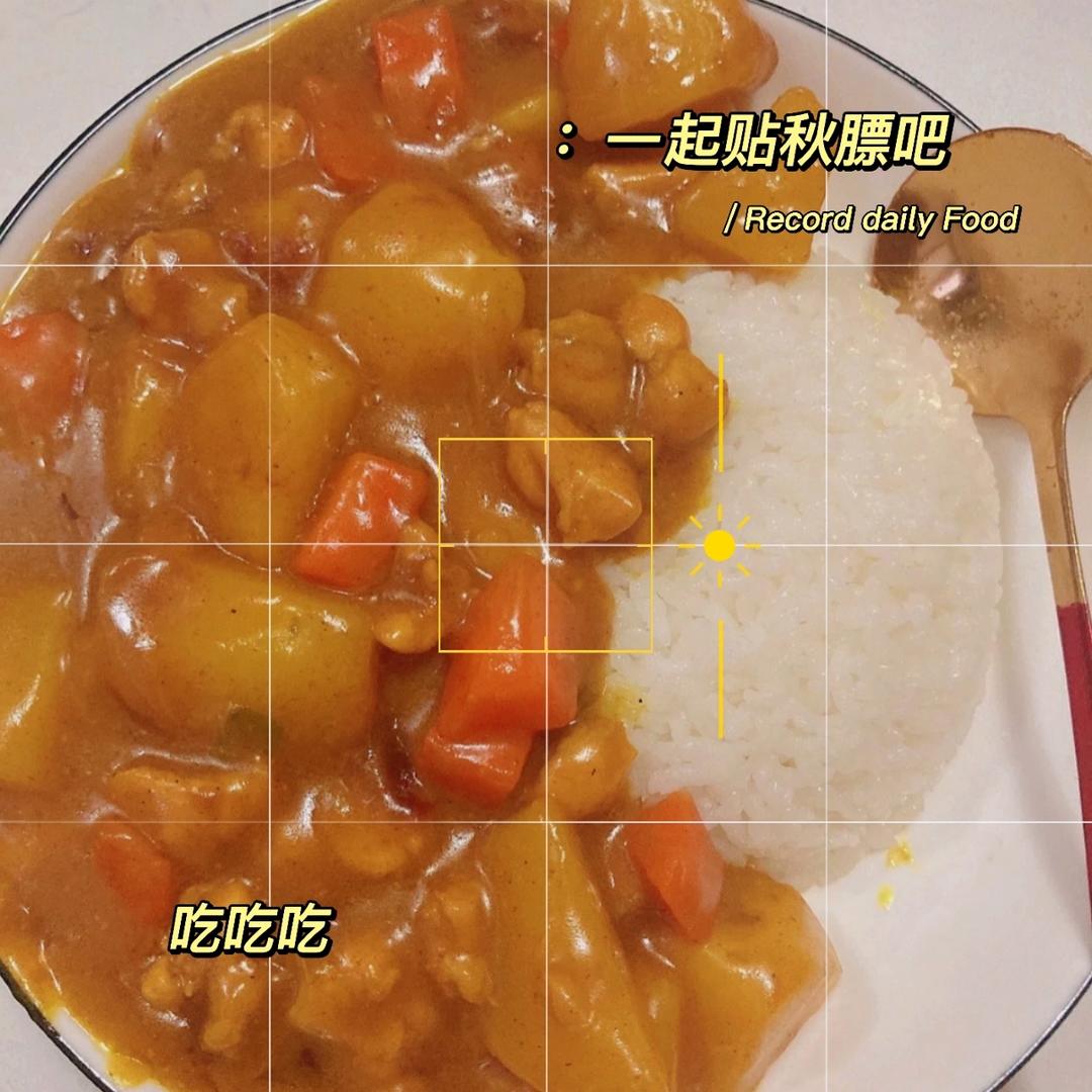 零失败日式咖喱鸡肉饭！！最正宗日本家庭做法！简单又好吃！