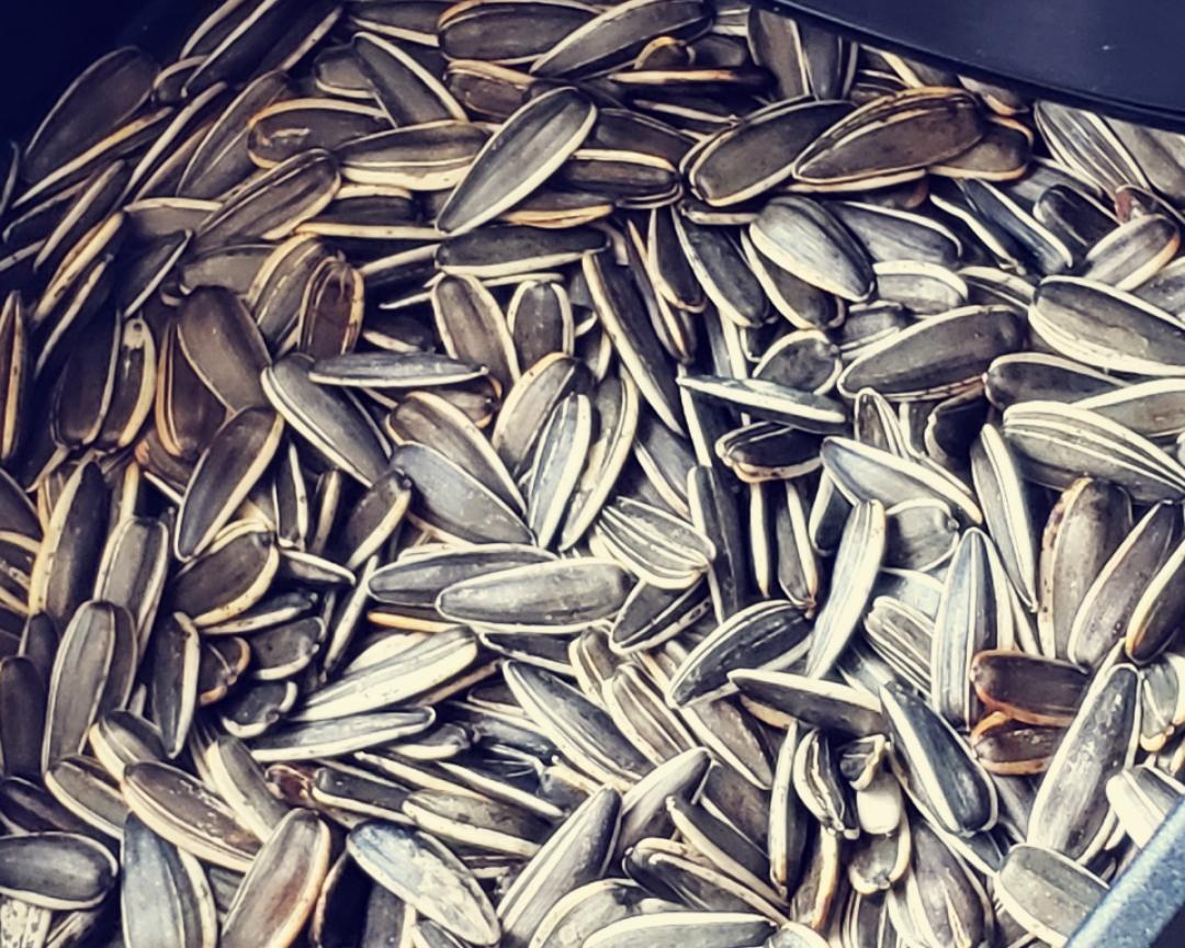 空气炸锅烤瓜子