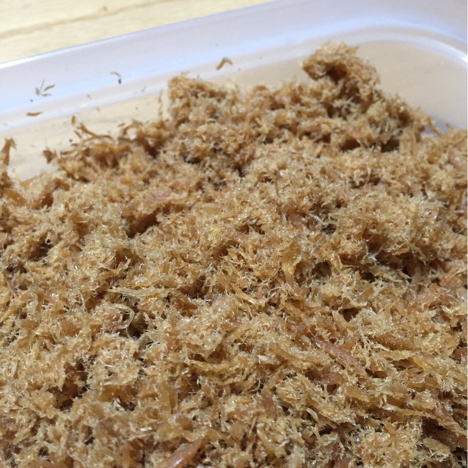 自制肉松(面包机版)