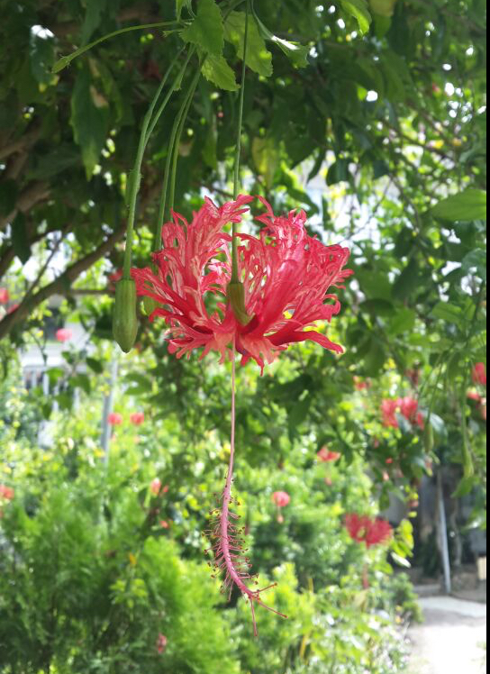 Me心暖花开