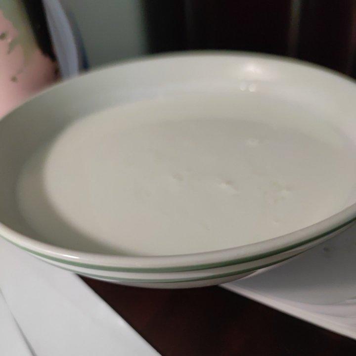 自制酸奶（0失败，无敌简单）
