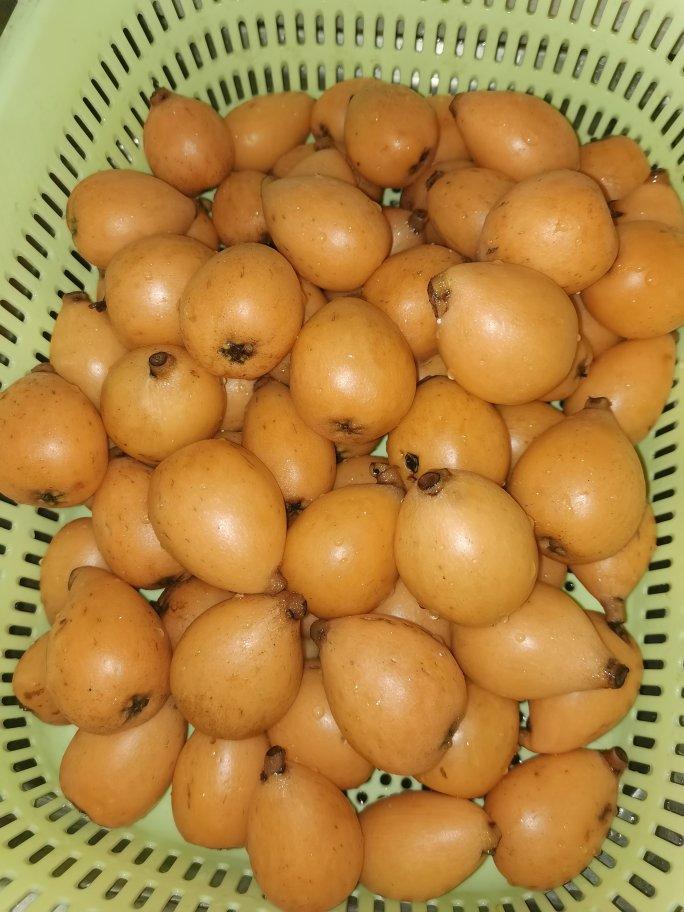 枇杷膏（不去皮）
