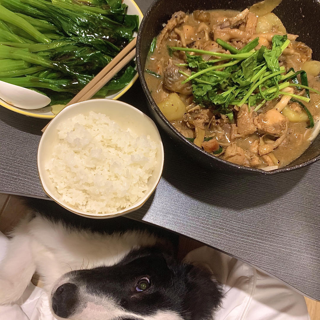 鲍鱼花胶鸡煲