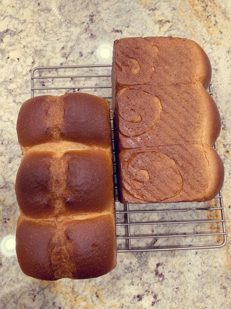 🌟只需一发的软妹子🌟奶香吐司🍞