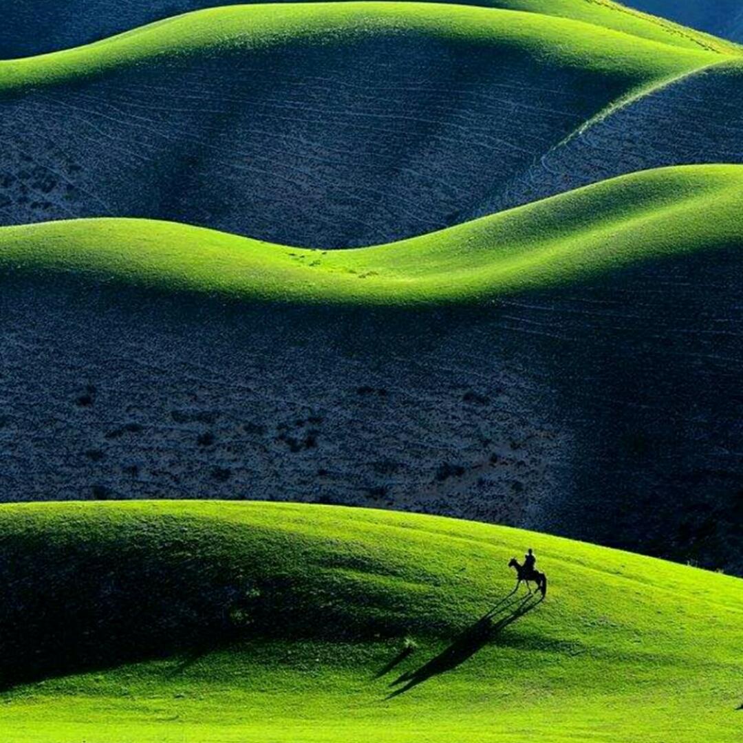 未若柳絮因风起1