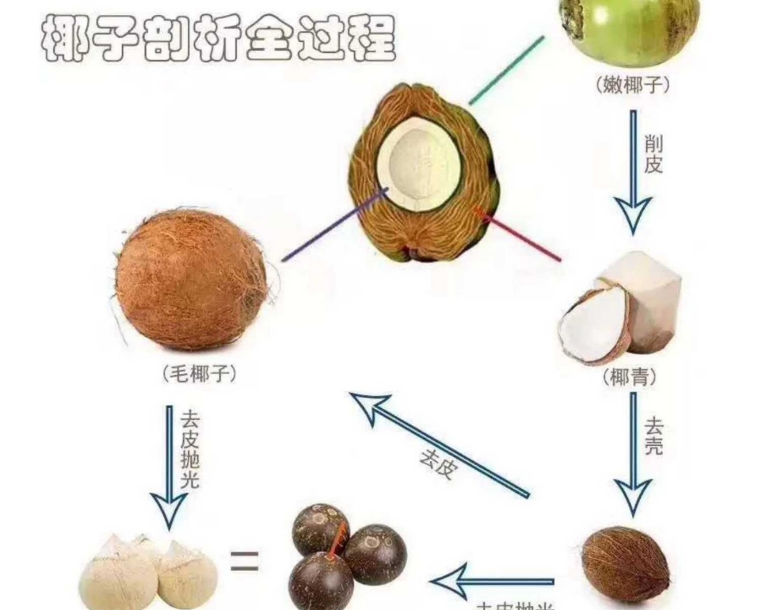 ⚠️各种开椰子❎取椰肉的方法（详细）的做法 步骤1
