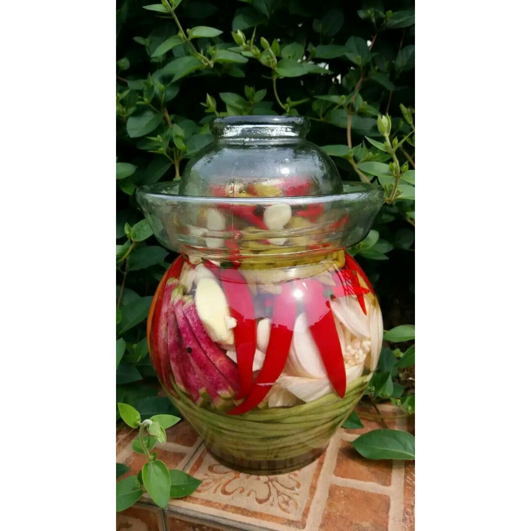 夏天的味道 酸脆开胃的【四川泡菜】