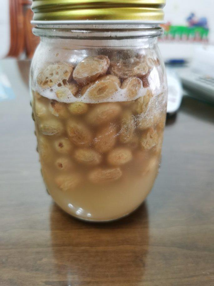 天然酵母天然葡萄种