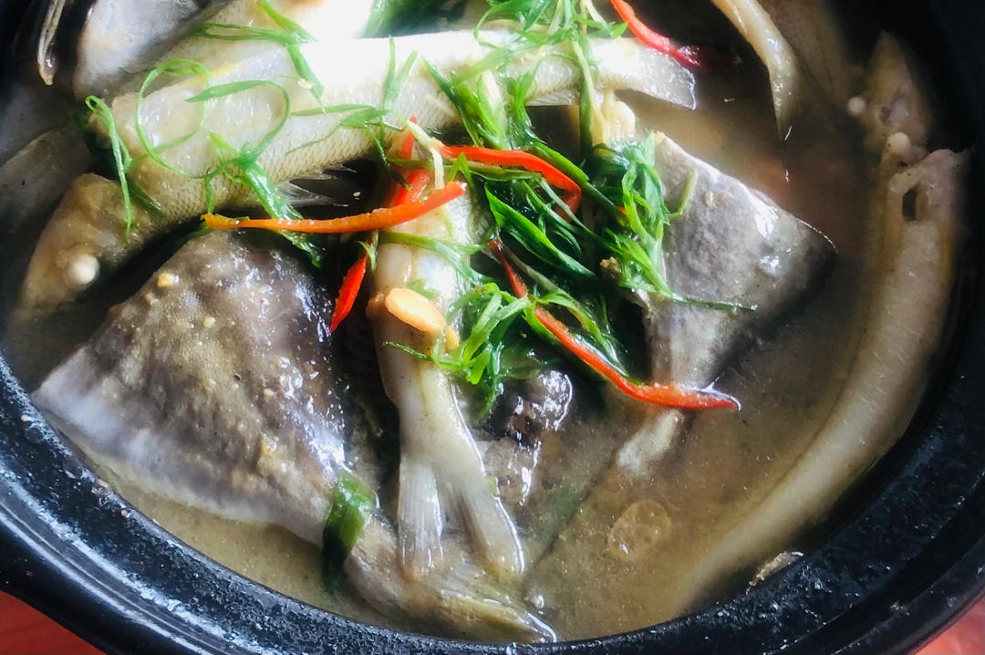 家常白鲢鱼（花鲢）