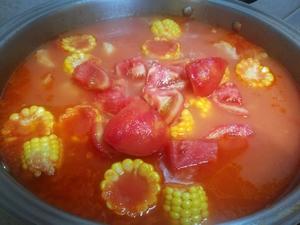 番茄🍅排骨汤的做法 步骤7