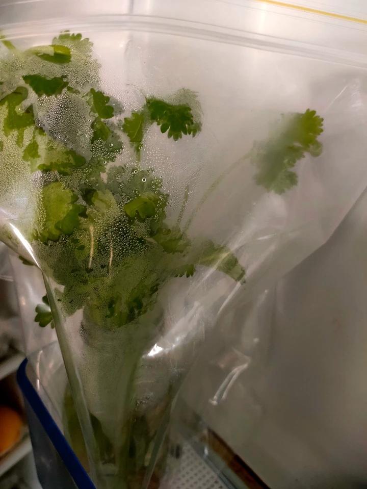 香菜保存方法：放冰箱养