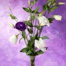 变成自己想要的模样