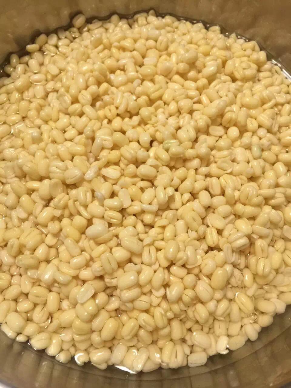 绿豆糕