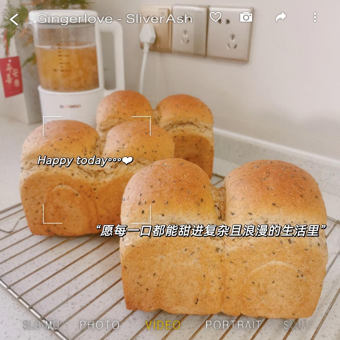双种芝麻全麦吐司 100%全麦 烫种+波兰种
