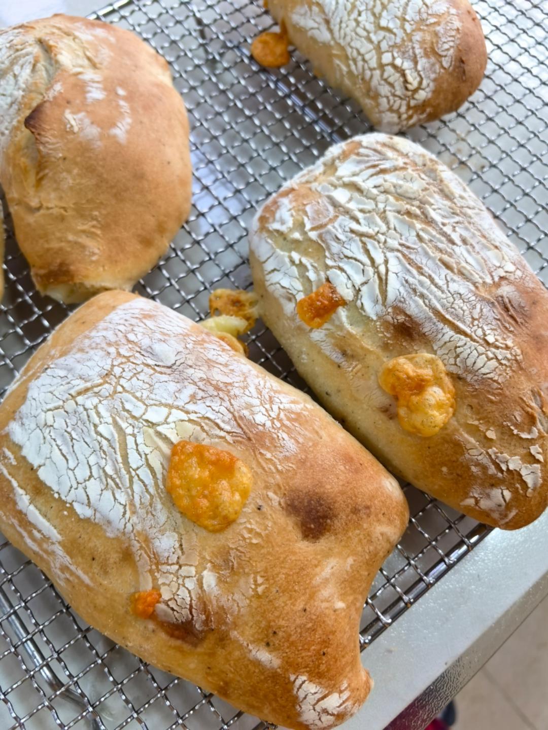 大孔奶酪恰巴塔