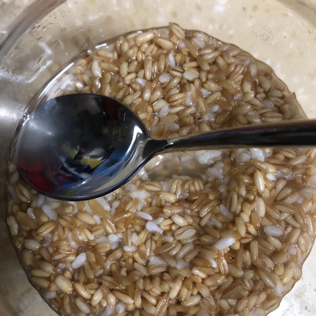 6分钟米酒【杂粮醪糟日志】🐌糙米酒糟 醪糟 酒酿