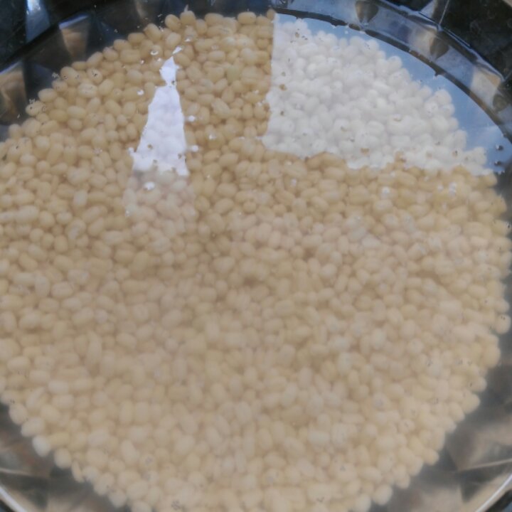 绿豆糕