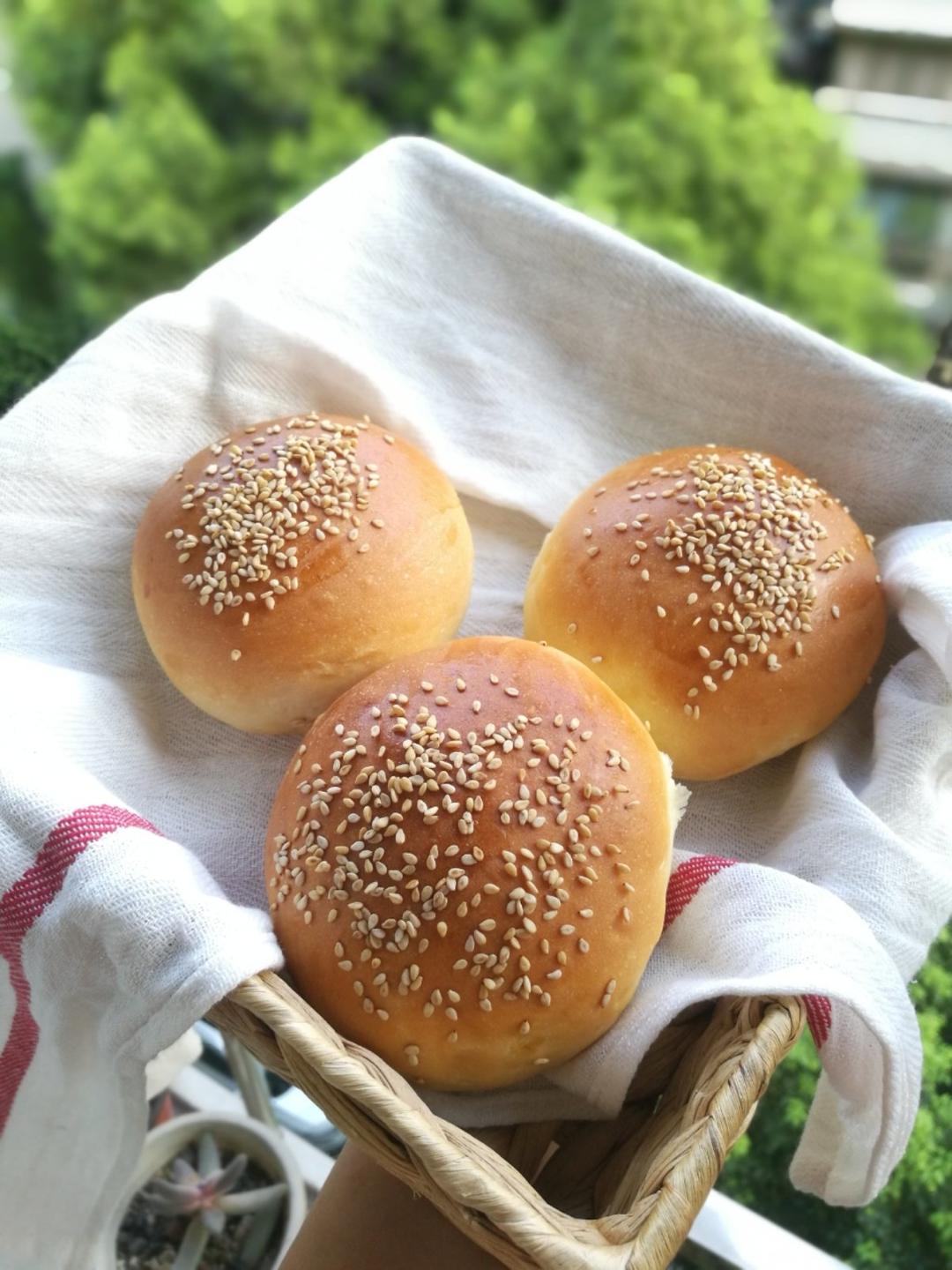 汉堡胚 poolish（波兰种）
