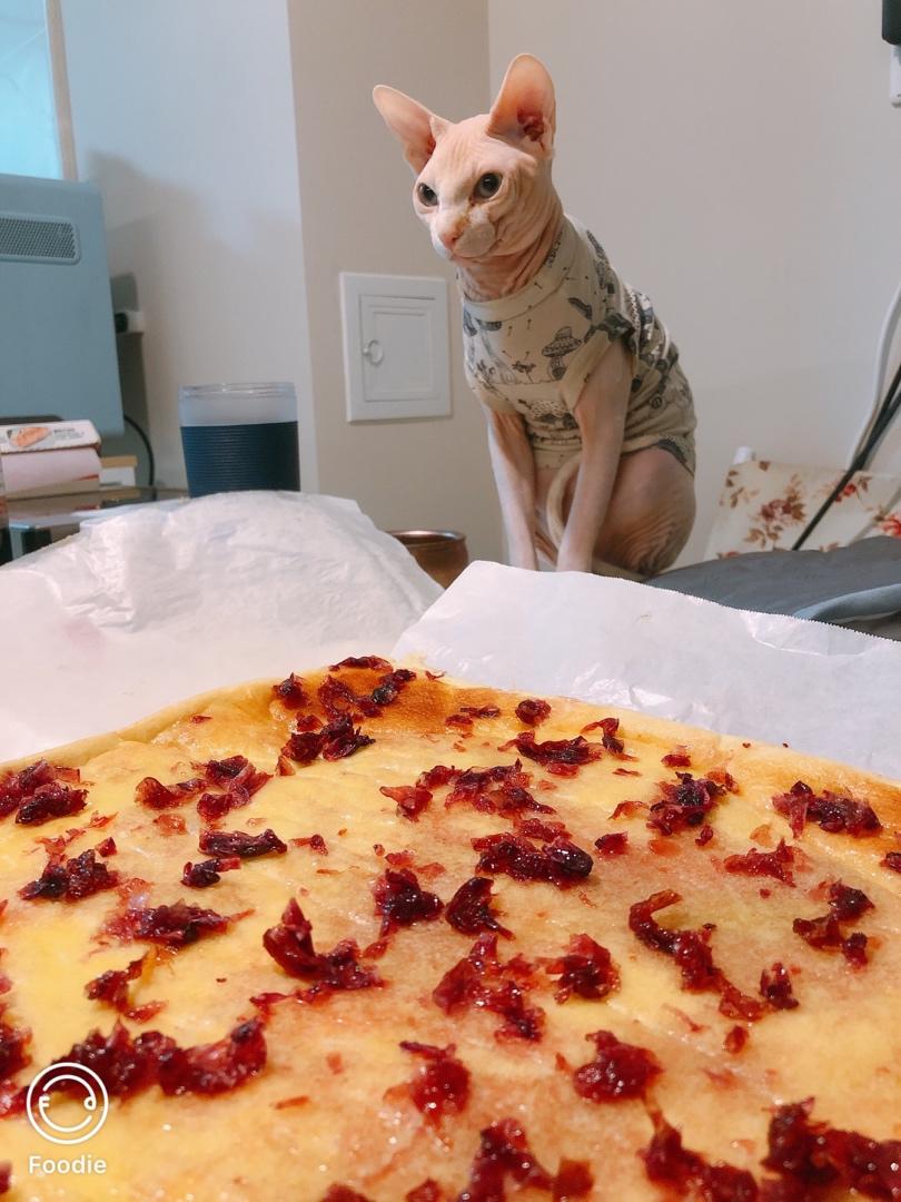 怎么卷都不裂的肉松蛋糕卷