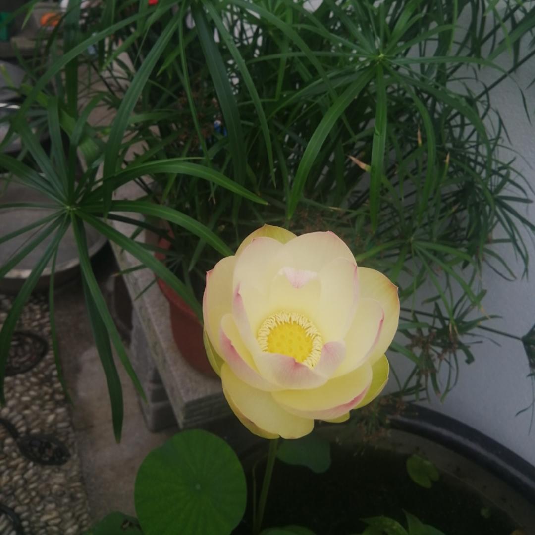 小塔塔米米米米米