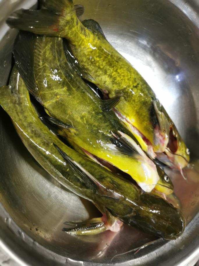 酱烧昂刺鱼—我很丑但我很香很下饭的做法 步骤1