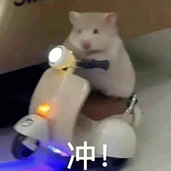 黄焖鸡自存食谱
