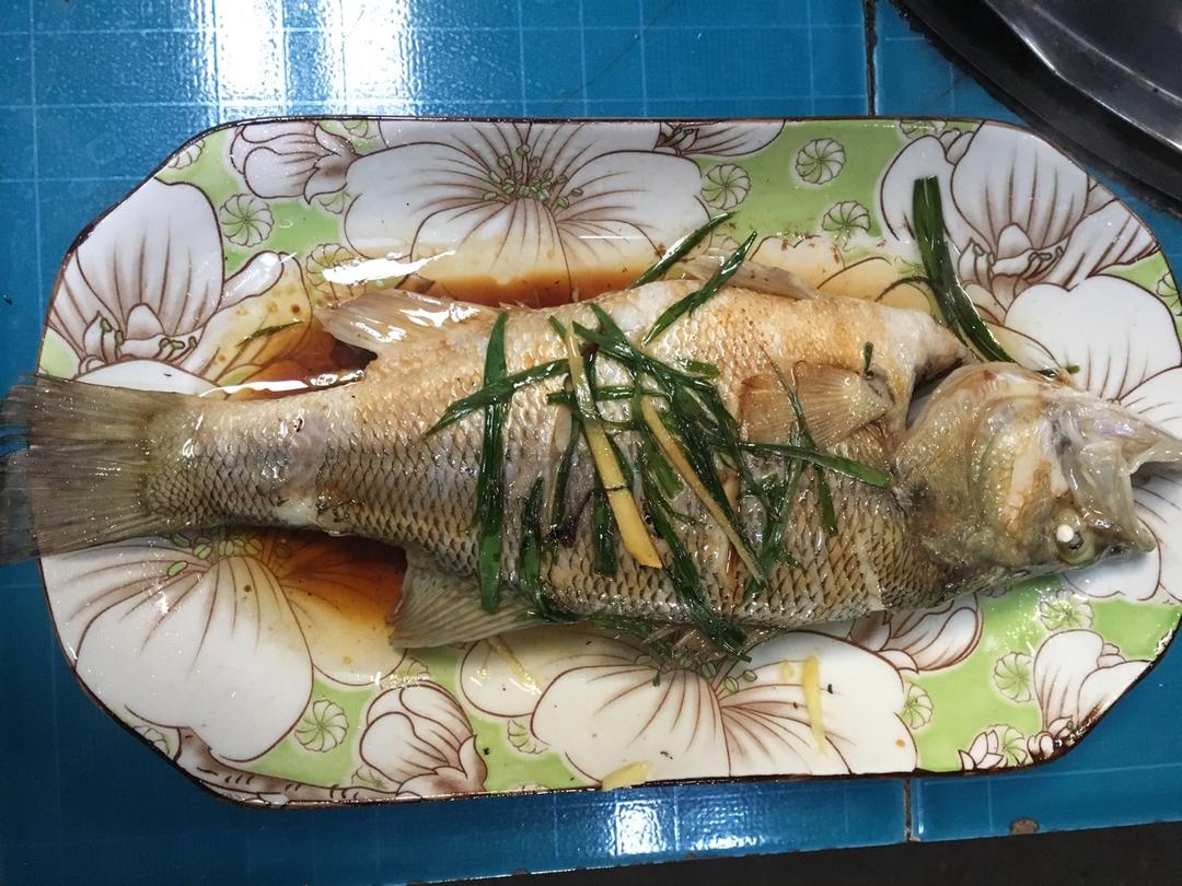 清蒸鲈鱼