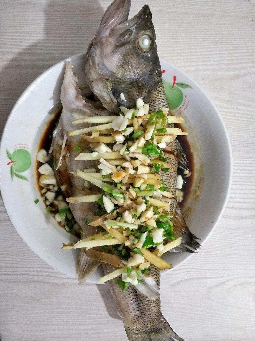 清蒸鲈鱼