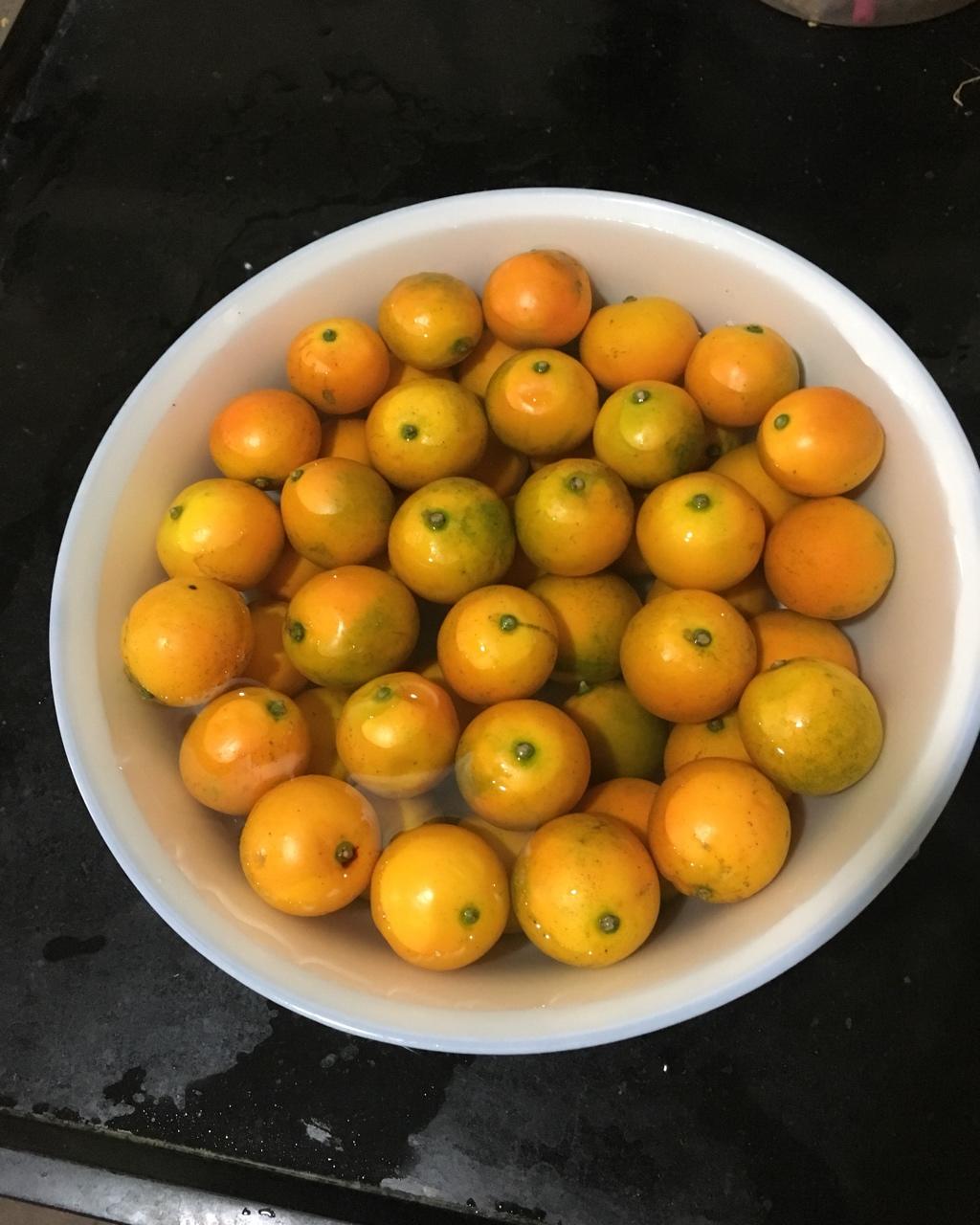 止咳化痰-金桔酱🍊